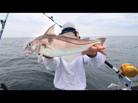 GROUND fishing up North!! | AUTHENTIC FISH & CHIPS | (Haddock catch, clean, cook)