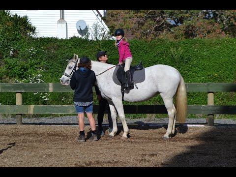 Riding High with Lucia at Wellington RDA