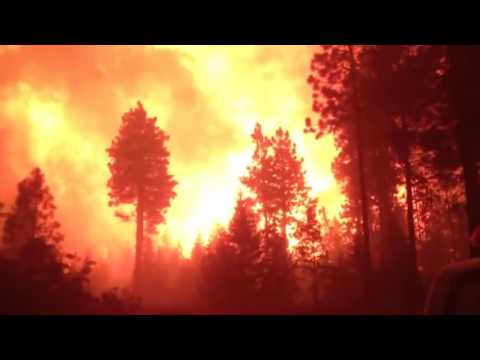 Climate Change Means More Forest Fires