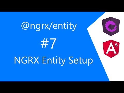 Video 7 Setup NGRX Entity