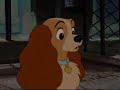 Lady And The Tramp He S A Tramp