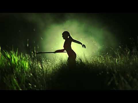 MEGATRON - LAYLOW by JULIE RS