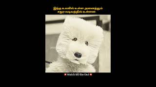 square shaped world | tamil voice over | #shorts | movie explained in tamil | #movieclips