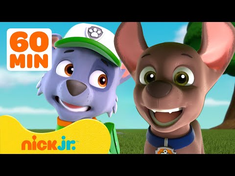 PAW Patrol Feels Big Feelings! w/ Rocky & Zuma #2 💗 60 Minutes | Nick Jr.