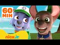 PAW Patrol Feels Big Feelings W Rocky Zuma 2 60 Minutes Nick Jr