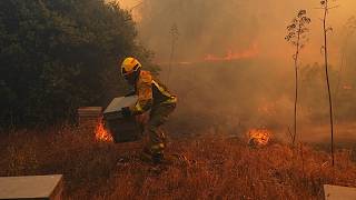 Bomberos combaten un incendio forestal en Castellón, en el este de España