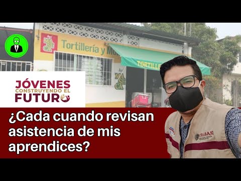 How often do the National Mentors visit my business? / Attendance verification for Jóvenes C.F.