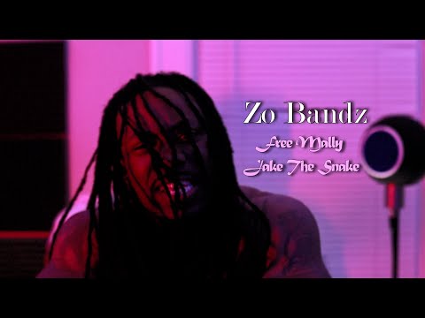 Zo Bandz - Free Mally & Jake The Snake (Official Music Video) Dir. @DigitalReel