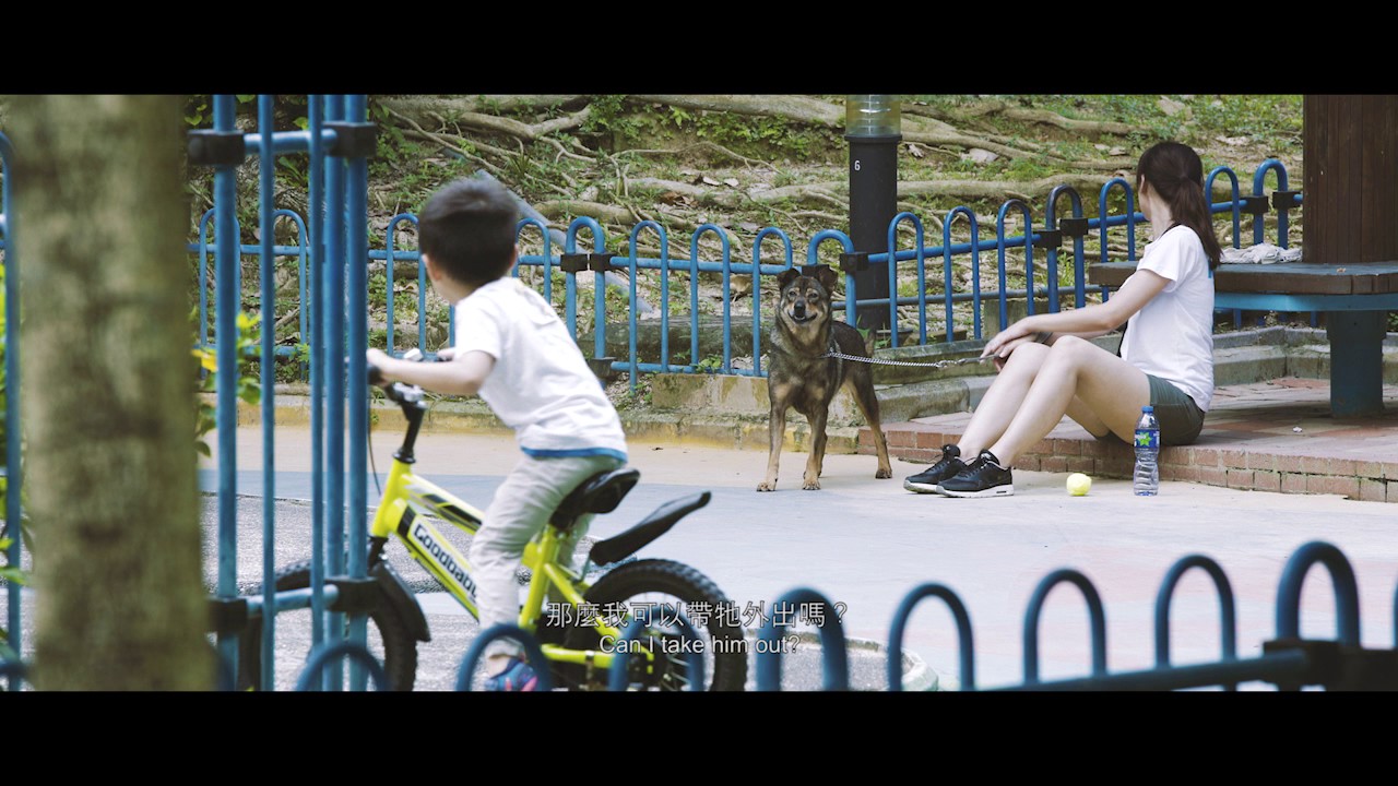 Puppy — Official Trailer