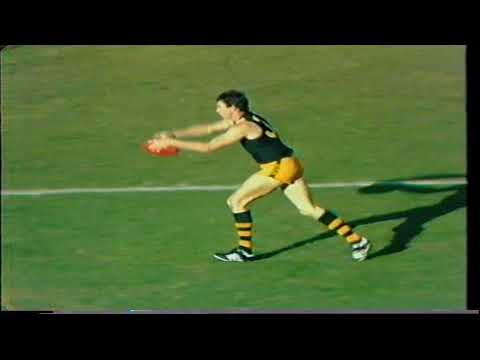 1984 Round 7 Port 22.11 143 d Glenelg 18.15 123 ABC replay