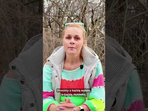 YouTube video preview image