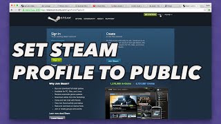 How to set your steam profile to public (for SKINS + BETTING)