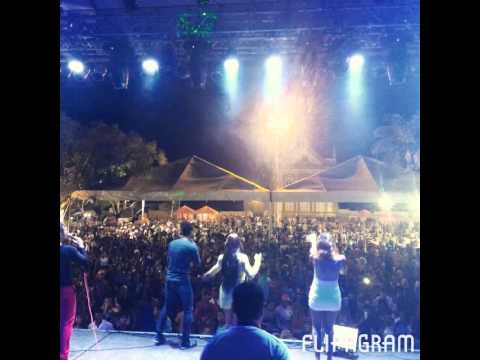 Arroxonados " o remédio é beber"