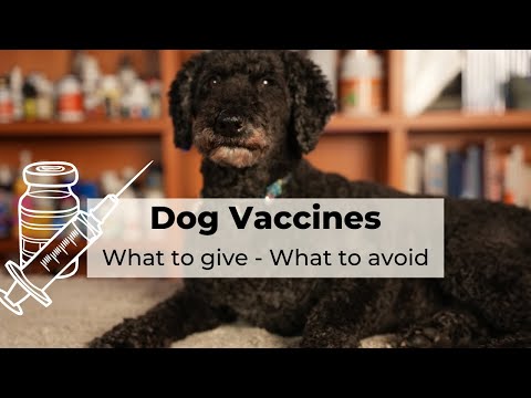 Dr Andrew Jones explains: WHAT Dog Vaccines to GIVE, and what NOT to