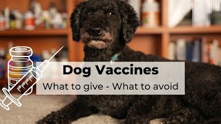 Dr Andrew Jones explains: WHAT Dog Vaccines to GIVE, and what NOT to