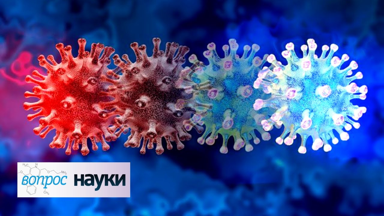 Коронавирус: естественный отбор Вопрос науки с Алексеем Семихатовым