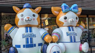 だんなもんの恋愛相談配信(すぐ終わります)