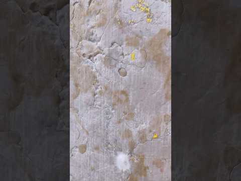 Miradouro de São Pedro de Alcântara #portugal #lisboa #travel #viewpoint #europe #city #lisbon