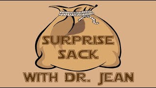 Surprise Sack - A fun transition with Dr. Jean - Check description for more
