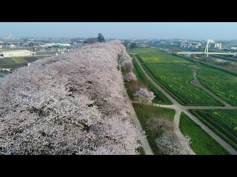シティプロモーションMOVIE「このまちが好き　幸手市」中国版字幕 HD 1080p