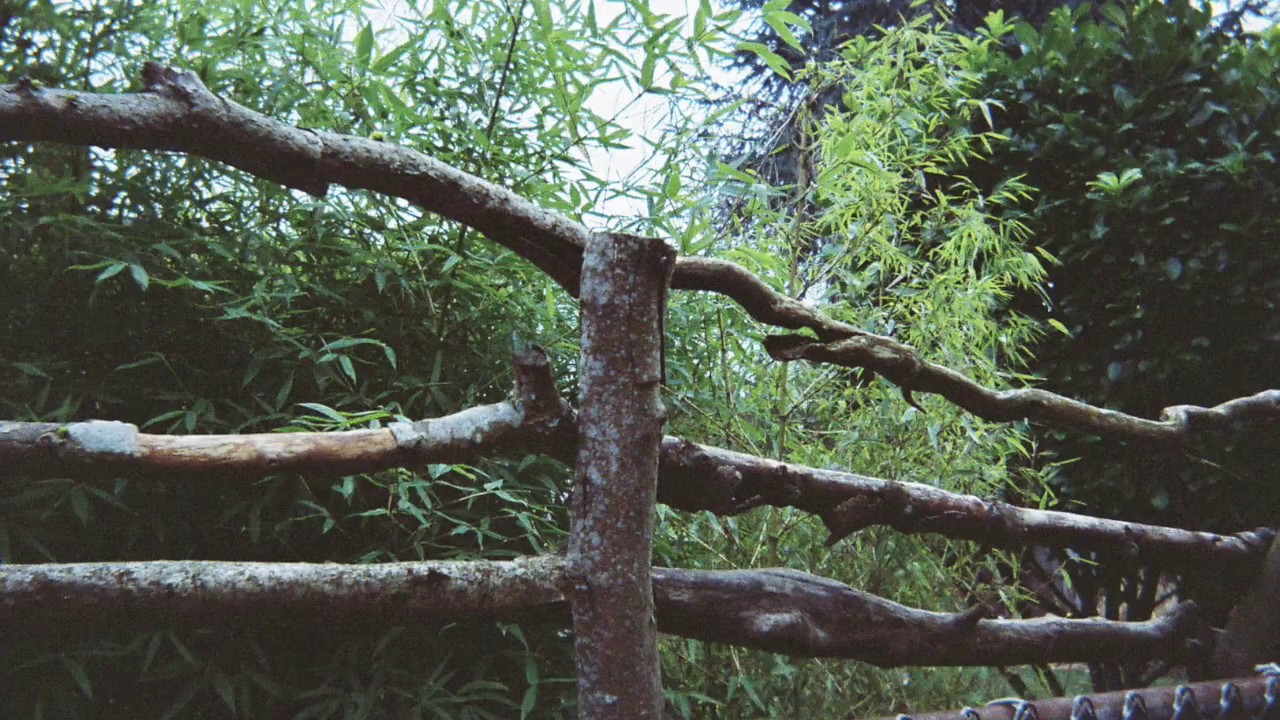 Tara's Story Portland's Homeless-The Crossing Borders Project