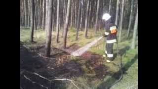 preview picture of video 'Pożar poszycia leśnego na trasie Chocicza-Rogusko w dn 5.03.2014'