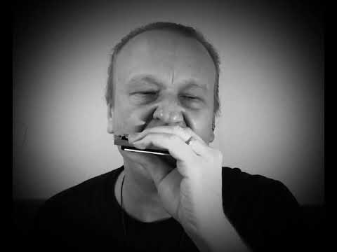 CUBANO CHA CHA - Filisko study song in “E”