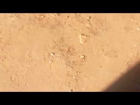 El vagón nuevo SF-412 toca la bocina con destino a Limache 