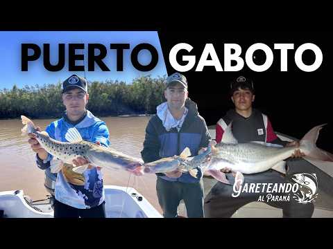 PESCA DE 🎣SURUBÍES Y PATÍES🎣 -  EN PUERTO GABOTO!!