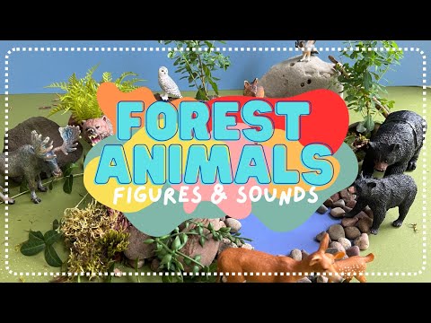 Moose, Owls, & Bears oh my! Forest Animal Figures Diorama with SOUNDS!