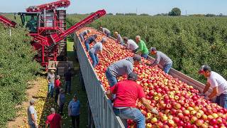 Download lagu REVEALED 💥 17 Farming Machines So Powerful - They’re Reshaping Agriculture Forever mp3