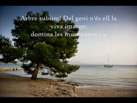 El Pi De Formentor - María del Mar Bonet