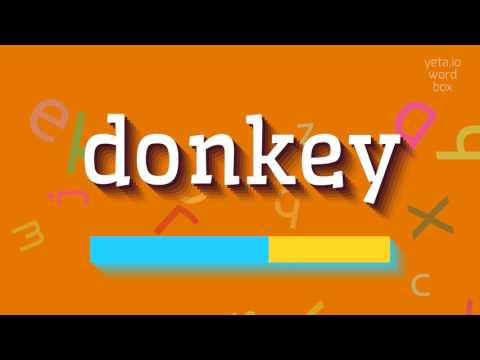 DONKEY - HOW TO PRONOUNCE DONKEY? #donkey