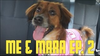 FAT &amp; LAZY MILLENNIALS ESCAPE RATCHET APARTMENT COMPLEX!!!