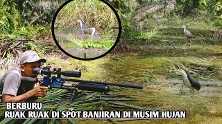 Download lagu Hunting for flooded spots in the rainy season mp3