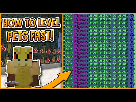 p0wer0wner - HYPIXEL SKYBLOCK | how to level up pets FAST!