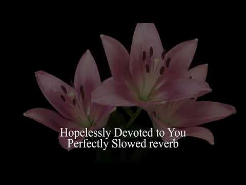 Hopelessly Devoted To You Perfectly Slowed Reverb (TikTok Version)