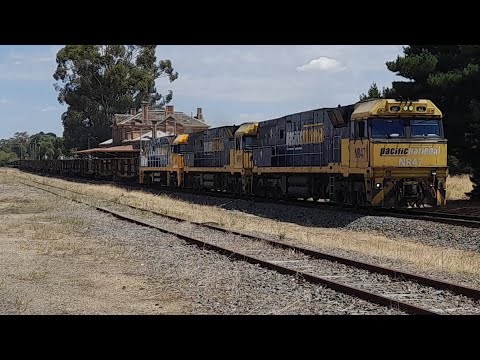 all elephant style NRs lead a mix of steel and shipping containers with NR47,NR51 and NR48 repainted