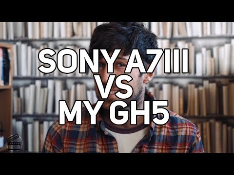 Sony A7iii Vs Panasonic GH5 (thoughts on switching)