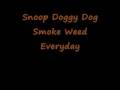 Snoop Doggy Dog Smoke Weed Everyday 