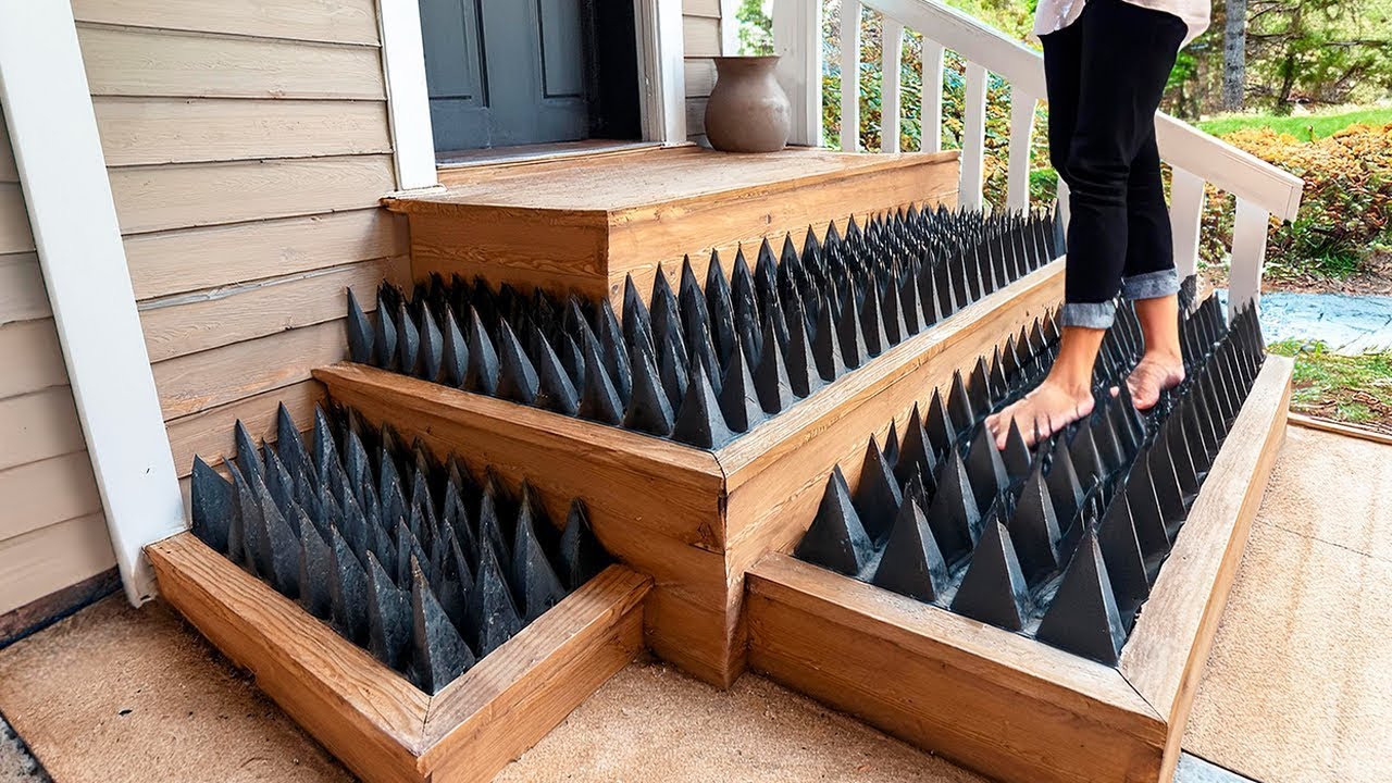 Invenções engenhosas que todo proprietário deveria ter