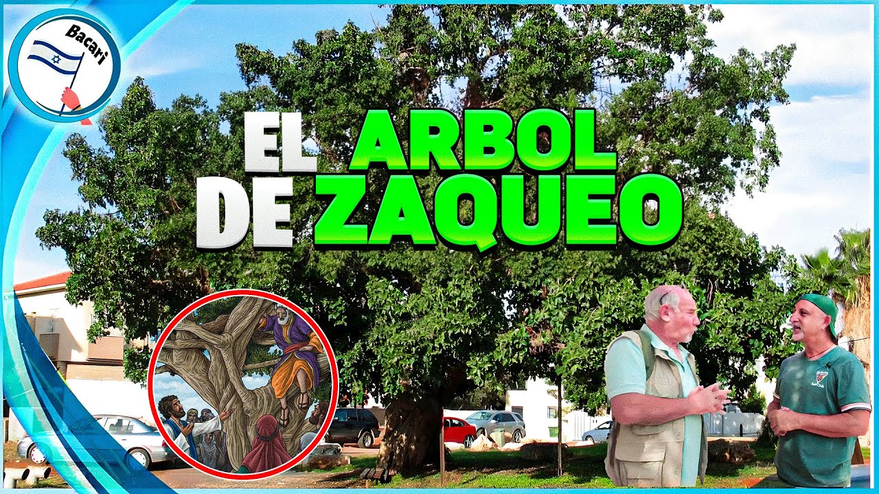 Jerico - La Ciudad en la Tierra de Israel mas antigua del Planeta