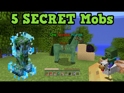 UNBELIEVABLE Minecraft Xbox 360/PS3 SECRET Mobs!