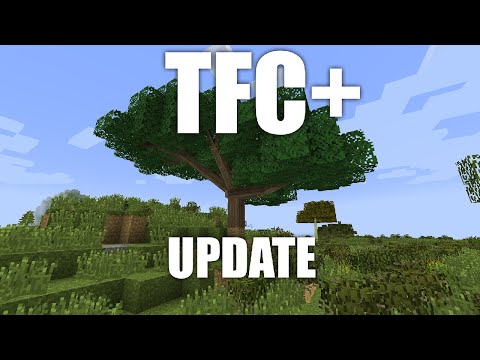 TerraFirmaCraft+ b87: New Trees + World Gen!