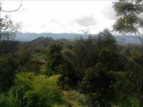 Kondol Medley - Ambine Pumba JIWAKA