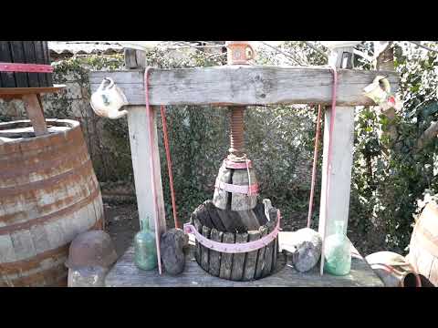 Ansamblul folcloric Bacitele   Viata e frumoasă