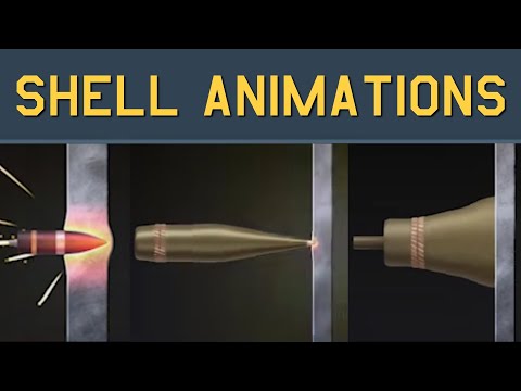 Shell Animations Compilation