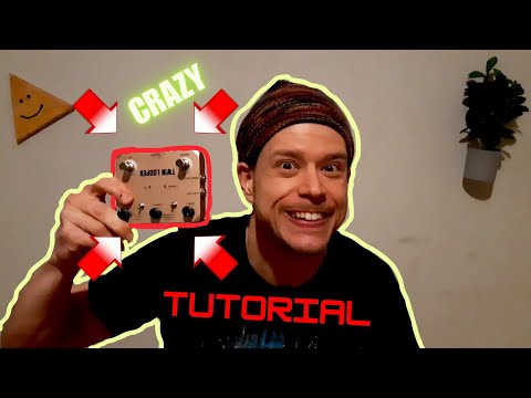 Rowin Twin Looper Review & Walkthrough –  Also Known As VSN/FAME