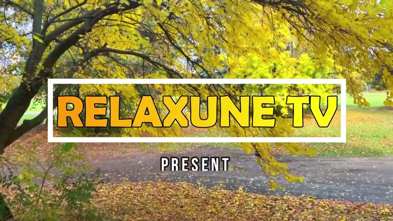 Nature sounds/Relaxing/Autumn / Meditation/The sound of birds /Forest