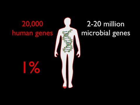 The Enormous Impact of Tiny Microbes  with Rob Knight -- Sages and Scientists 2016